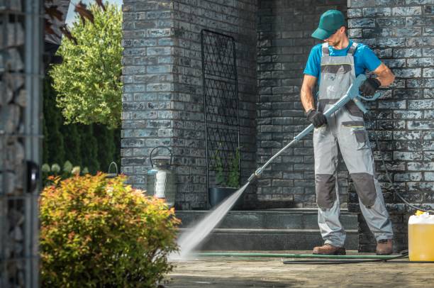 Animal Enclosure Cleaning in Pleasant Hill, MO